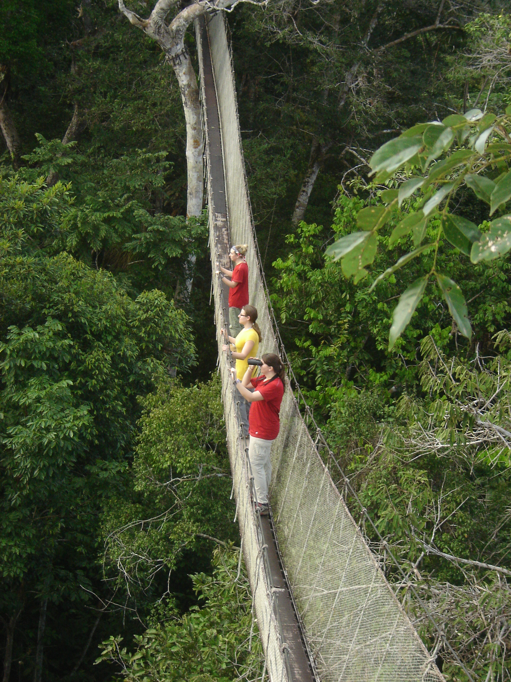 Widener students on canopy walk, ACTS field station, Peru.jpg